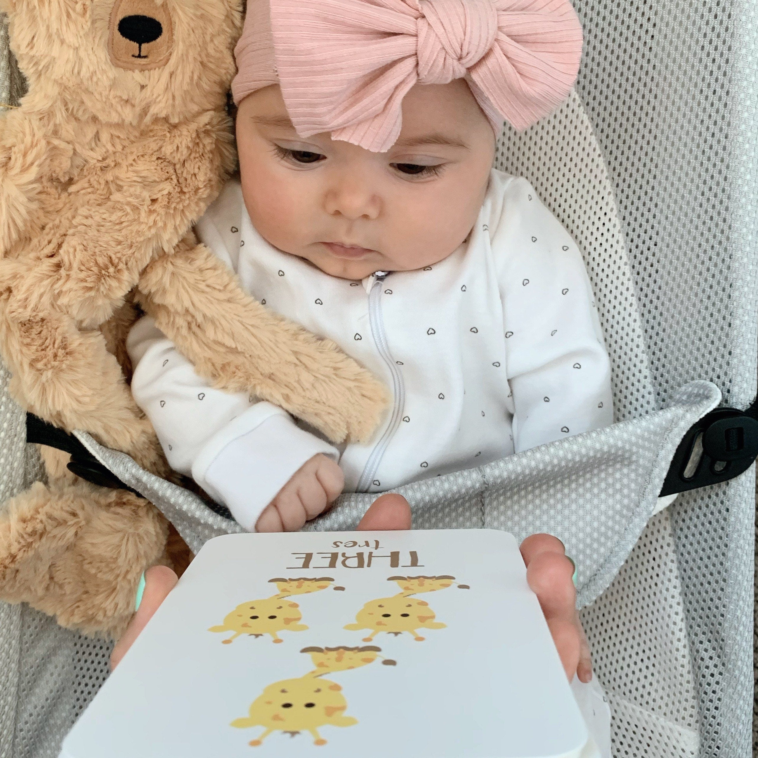 Animal Counting Flashcards | Bilingual English & Spanish Number Cards for Toddlers