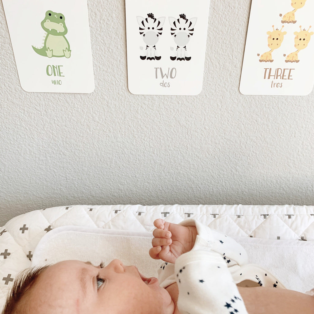 Animal Counting Flashcards | Bilingual English & Spanish Number Cards for Toddlers